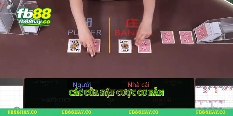 Các cửa đặt cược cơ bản