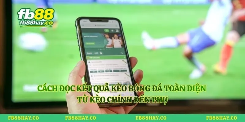 Cách Đọc Kết Quả Kèo Bóng Đá Toàn Diện Từ Kèo Chính Đến Phụ