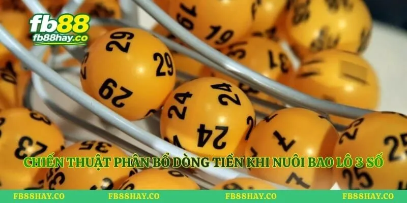 Bao Lô 3 Con Là Gì - Cẩm Nang Tính Thưởng Chuẩn Xác Nhất Chiến thuật phân bổ dòng tiền khi nuôi bao lô 3 số