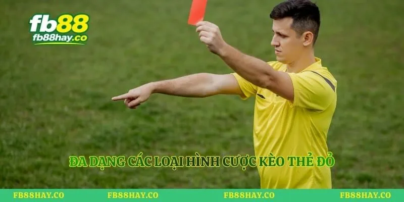 Đa dạng các loại hình cược kèo thẻ đỏ