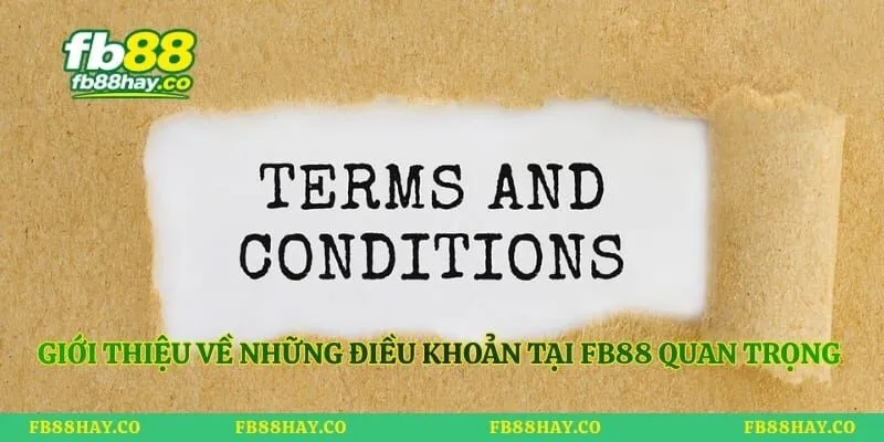 Giới thiệu về những điều khoản tại Fb88 quan trọng cần biết