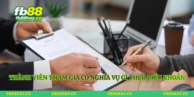 Thành viên tham gia có nghĩa vụ gì theo điều khoản sử dụng?
