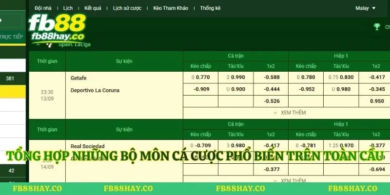 Tổng hợp những bộ môn cá cược phổ biến trên toàn cầu