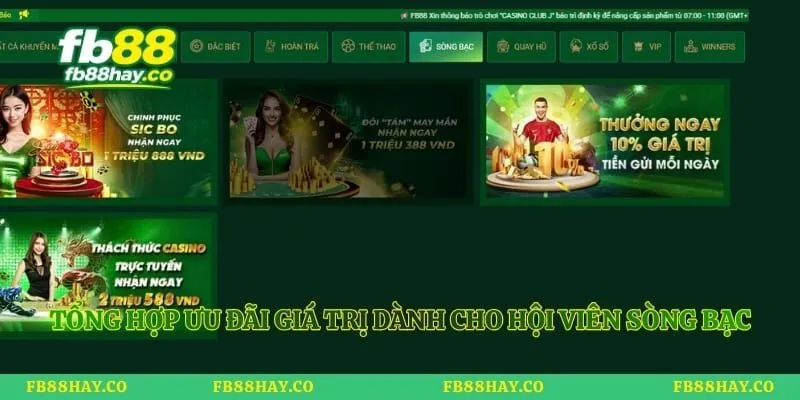 Tổng hợp ưu đãi giá trị dành cho hội viên sòng bạc